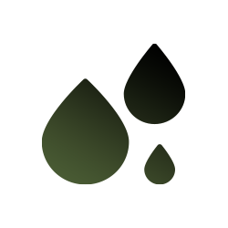 Icon 4