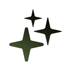 Icon 5