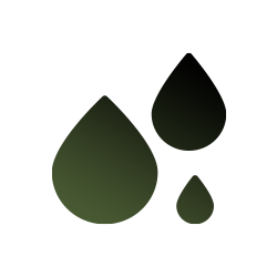 Icon 3