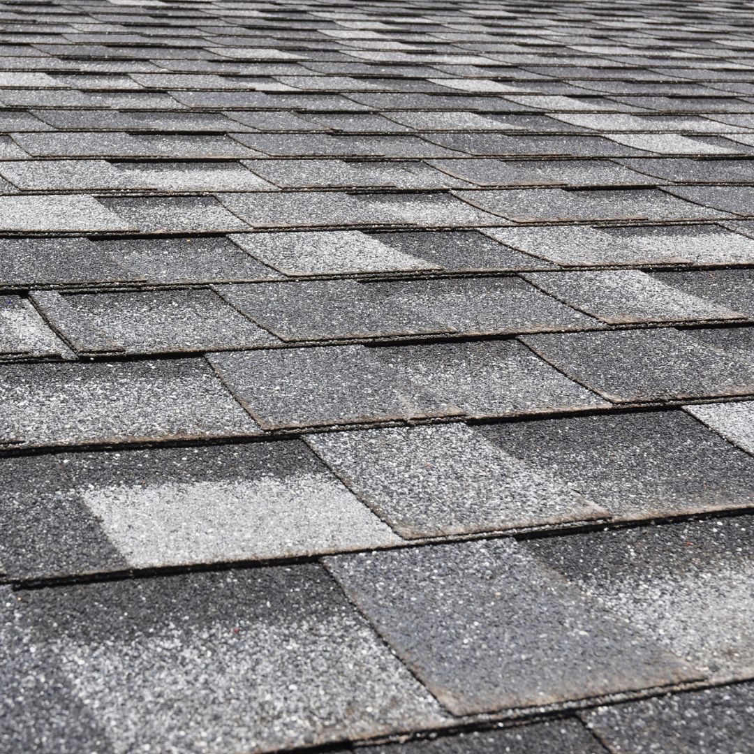 shingles
