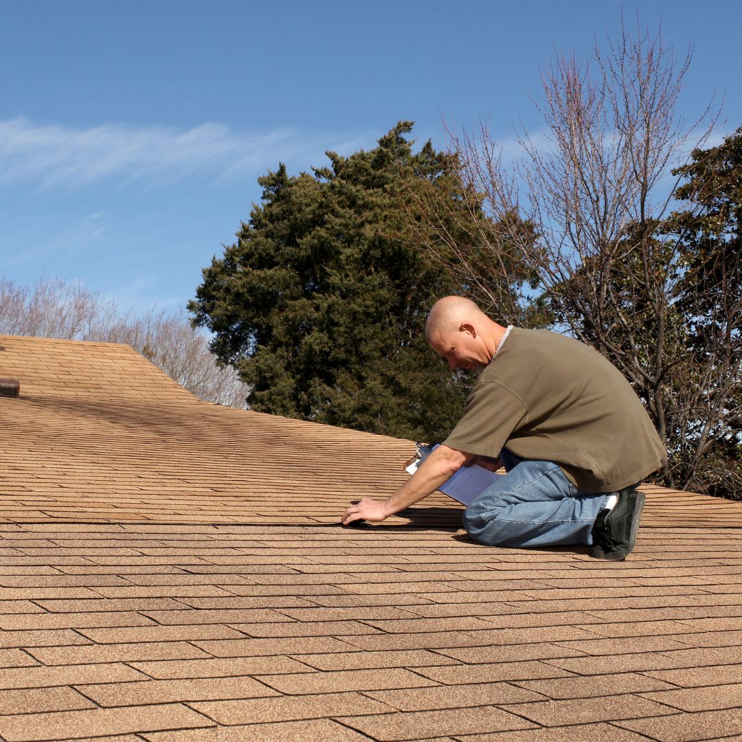 roof inspection