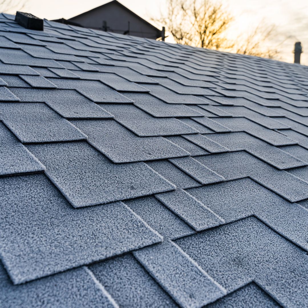 asphalt shingles