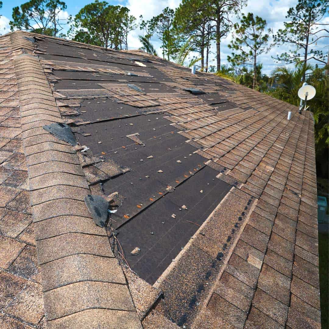 1. Assessing the Damage