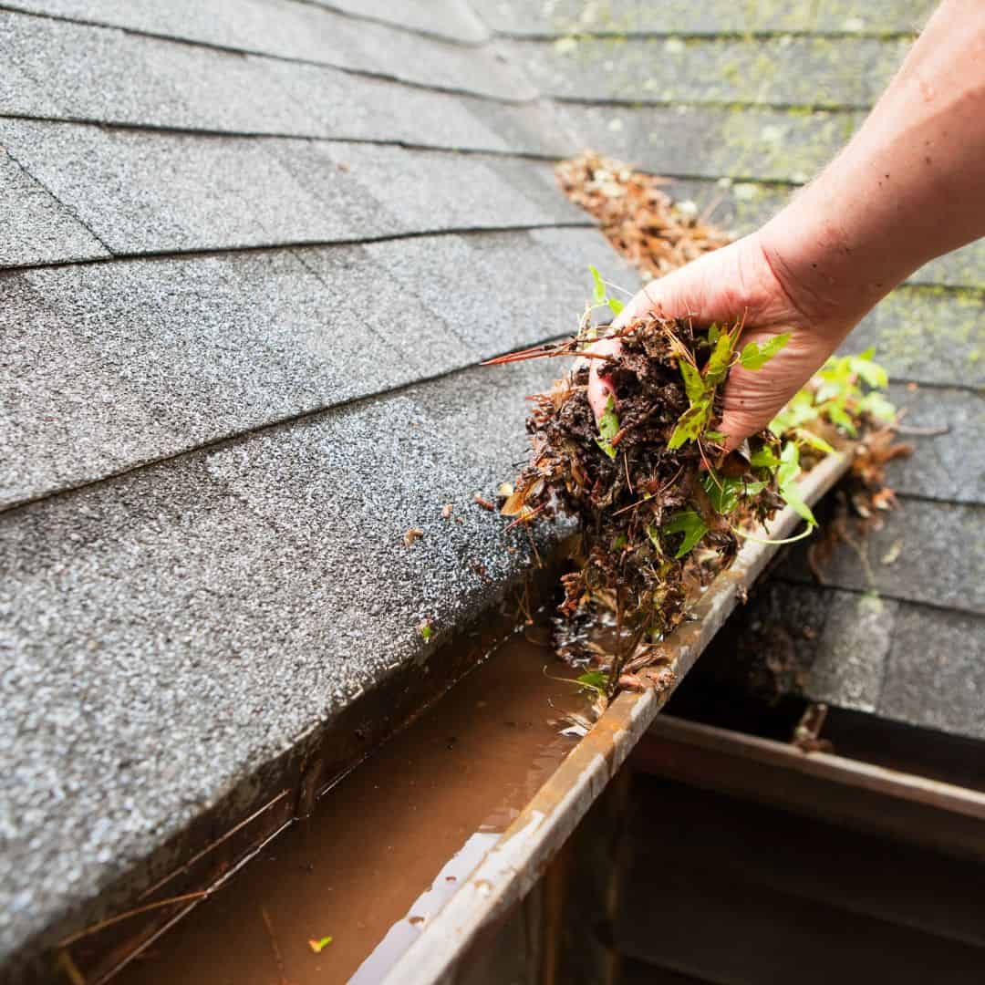 cleaning gutters