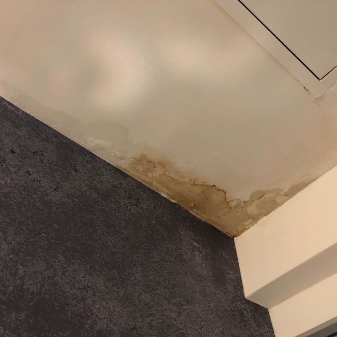water stain on ceiling