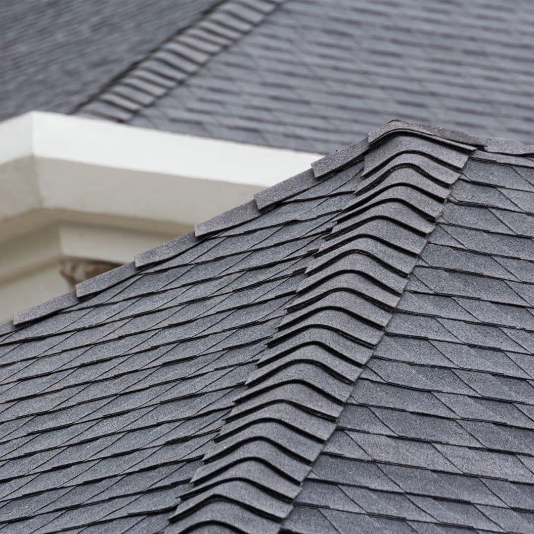 new shingle roof