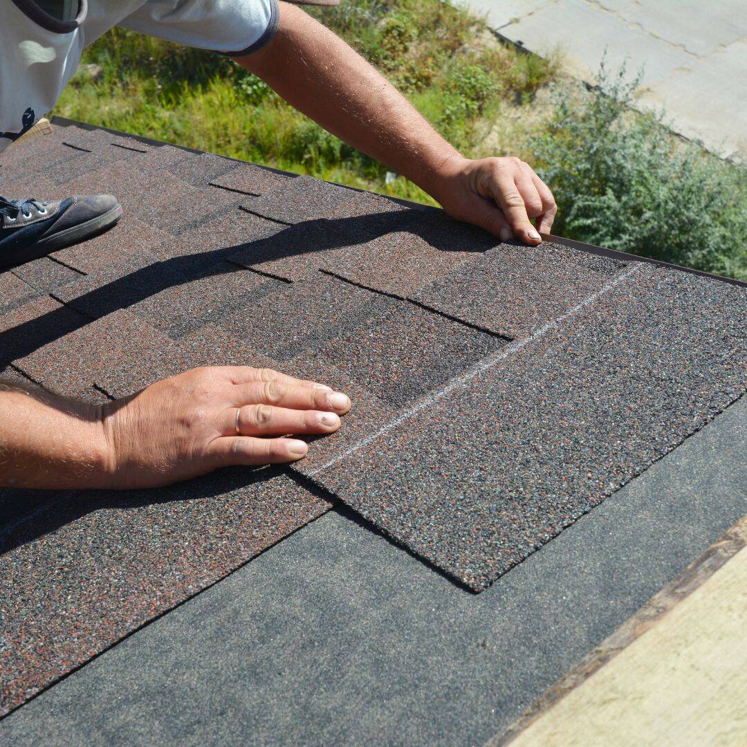 placing shingles