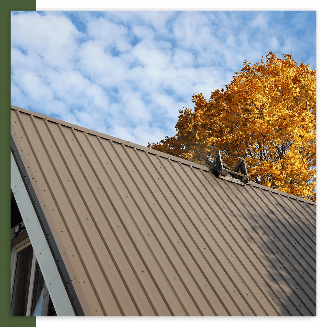 roof with fall leaves