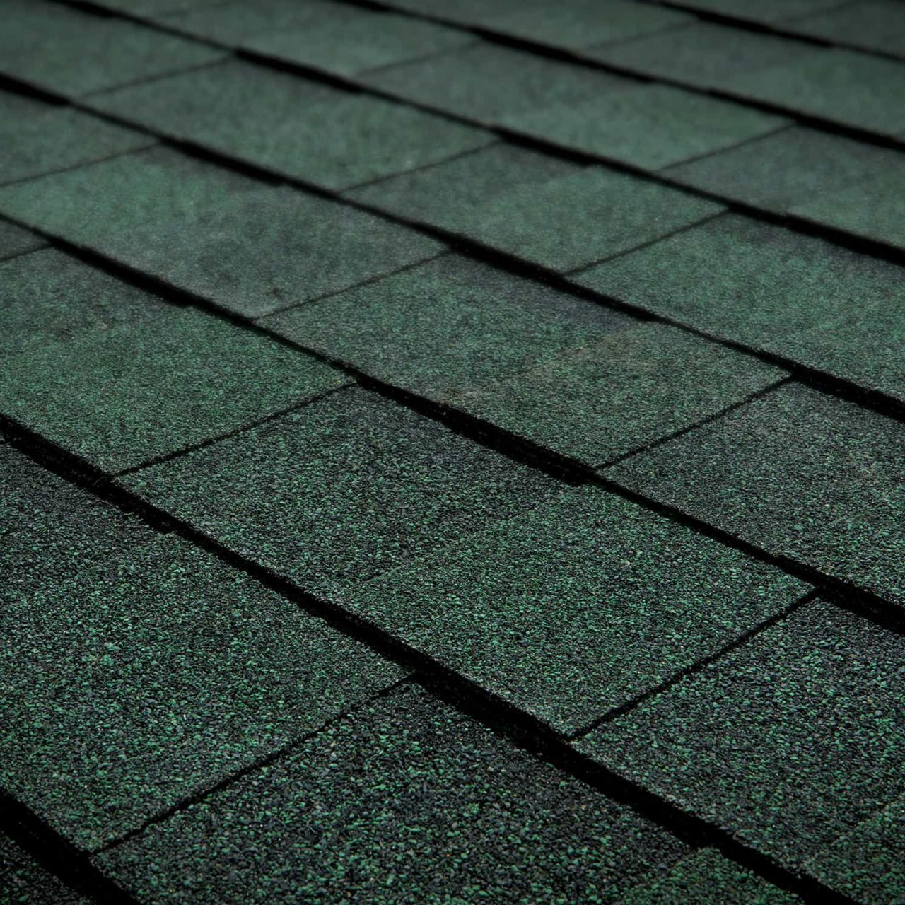 Rustic Evergreen